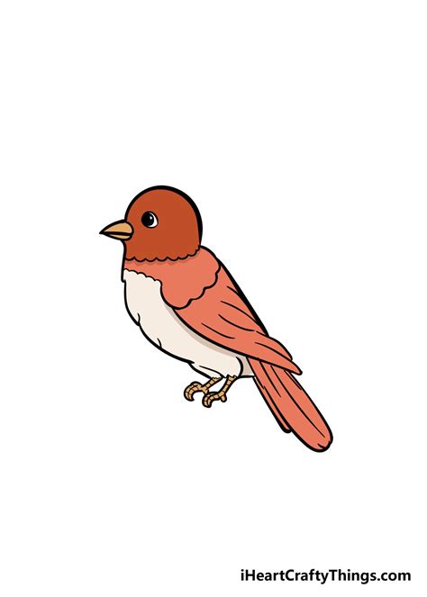 Bird Drawing Photos, Download The BEST Free Bird .